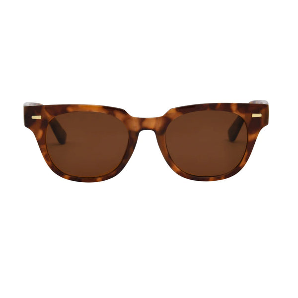 TORT FRAME WITH BROWN LENS SUNGLASSES