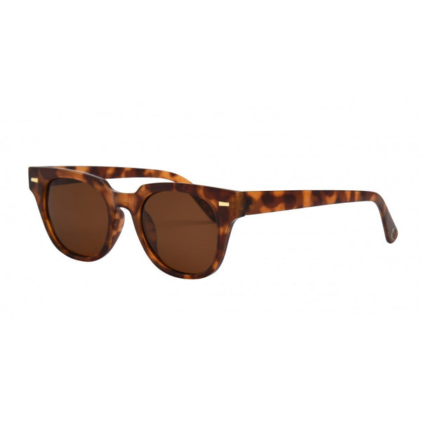 TORT FRAME WITH BROWN LENS SUNGLASSES