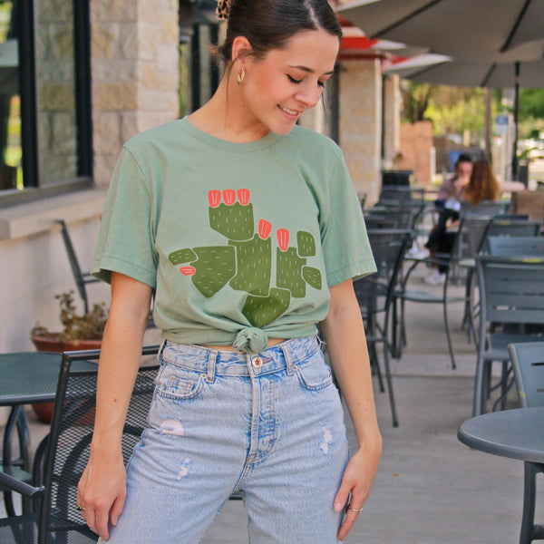 Pieces of cactus in the shape of Texas