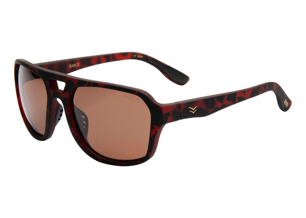TORT FRAMES WITH BROWN LENS SUNGLASSES