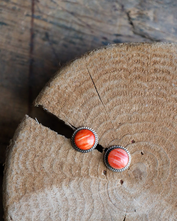 Round Spiny Oyster Rope Post Earring