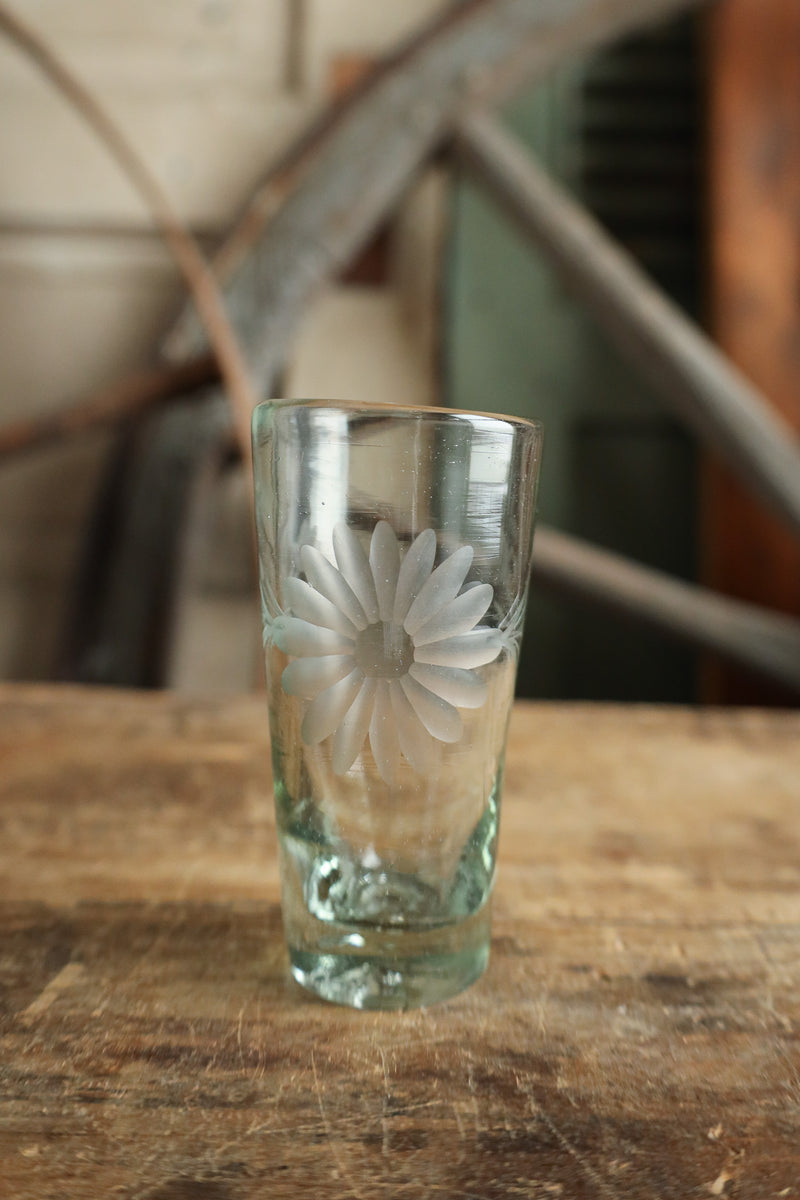 Rose Ann Hall Condessa Shot Glass- Clear