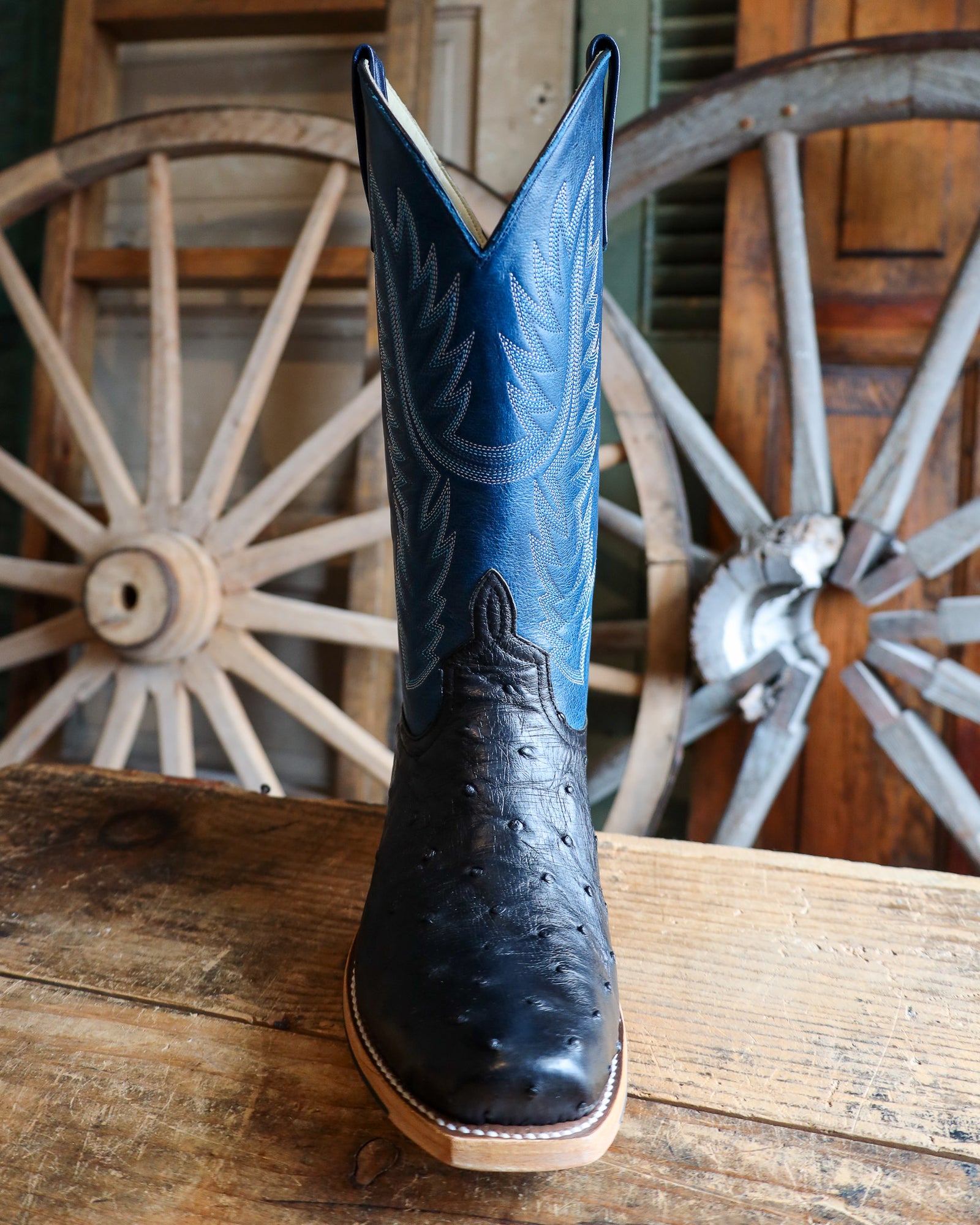 Horse Power Men's Black Full Quill Ostrich 13