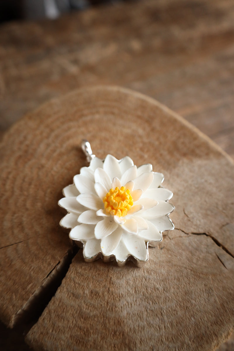 White flower with yellow center on a wooden surface