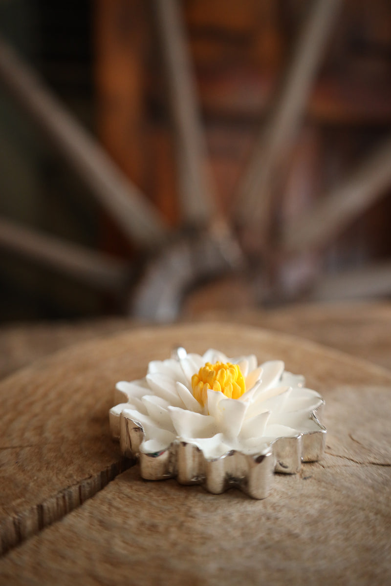 White flower with a yellow center on a wooden surface