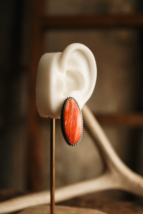 SPINY OYSTER LONG OVAL DOT FRAME POST EARRING 