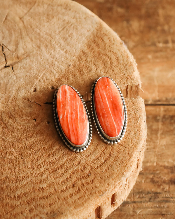 SPINY OYSTER LONG OVAL DOT FRAME POST EARRING 