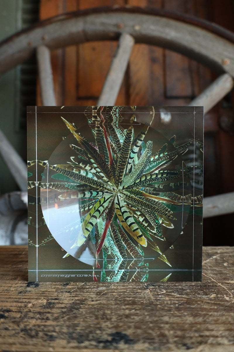 Nicolette Mayer Collection Pheasant Feathers Acrylic Candy Catchall Dish