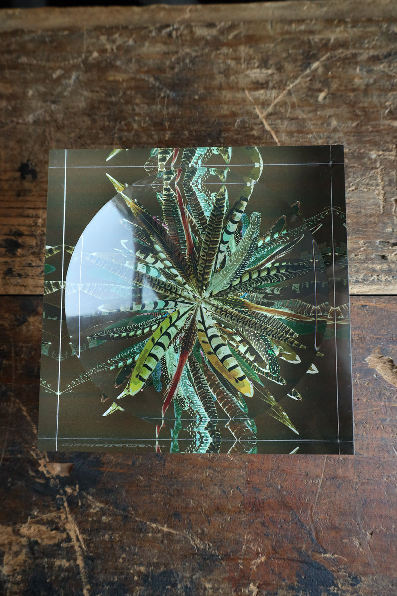 Nicolette Mayer Collection Pheasant Feathers Acrylic Candy Catchall Dish