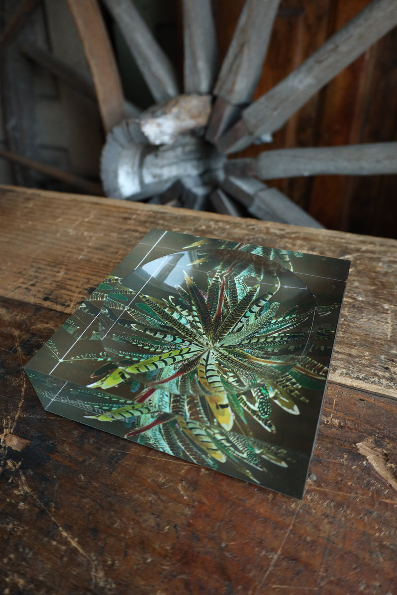 Nicolette Mayer Collection Pheasant Feathers Acrylic Candy Catchall Dish