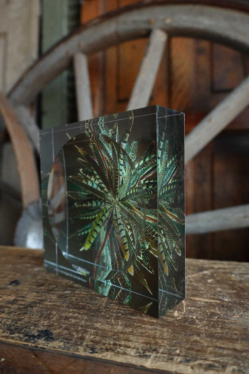 Nicolette Mayer Collection Pheasant Feathers Acrylic Candy Catchall Dish