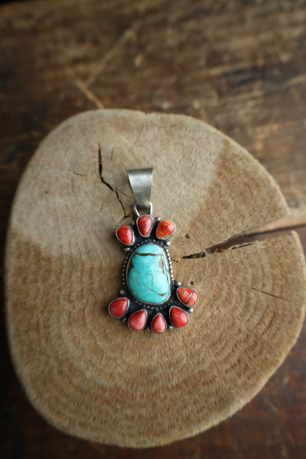 7 Spiny Oyster With 1 Large Turquoise By Shells Pendant