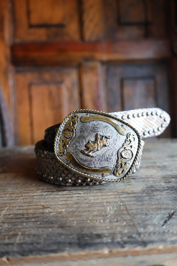 CONTINENTAL LEATHER PYTHON TROPHY SILVER BELT