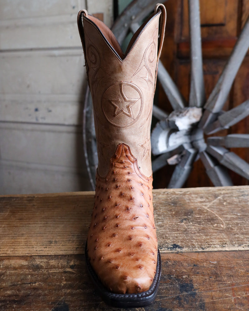 BLACK JACK MEN'S BURNISHED BROWN OSTRICH BOOT