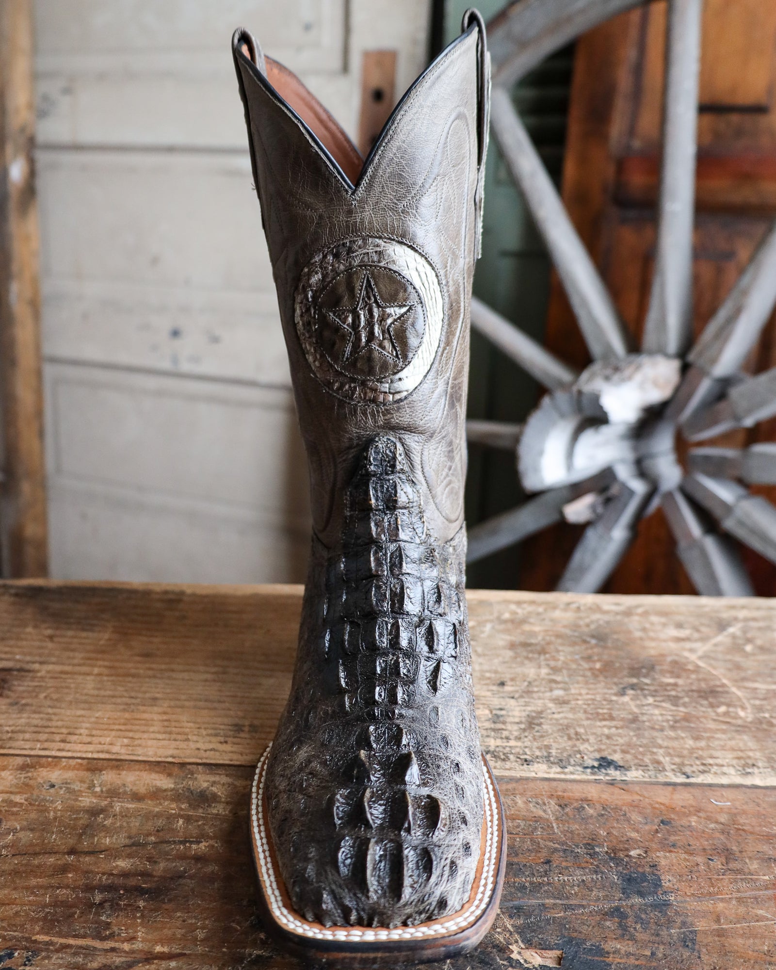 Black Jack Men's Lonestar Hornback Caiman 12