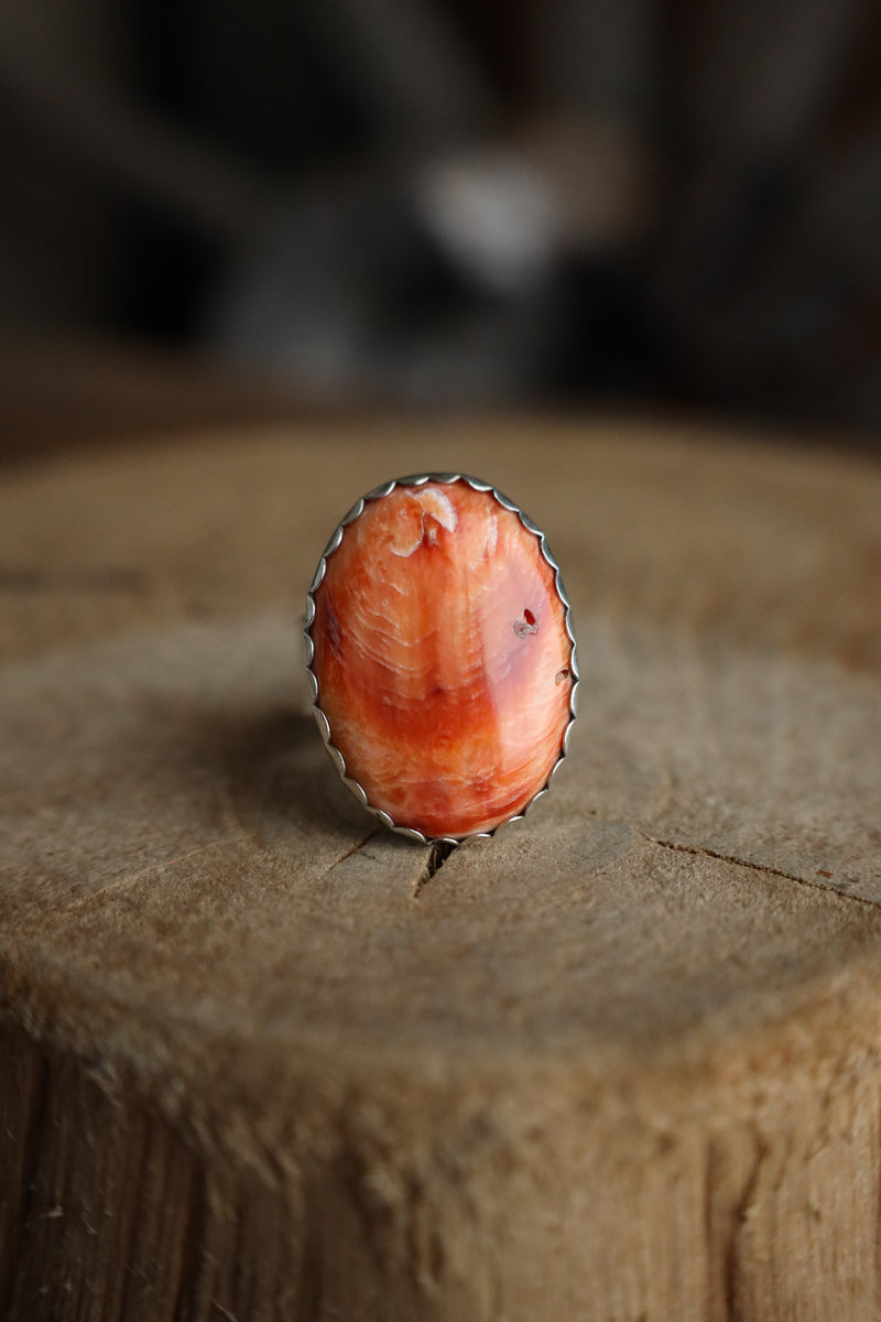 Richard Schmidt Spiny Oyster Oval 8MM Band Ring- Size 7.5