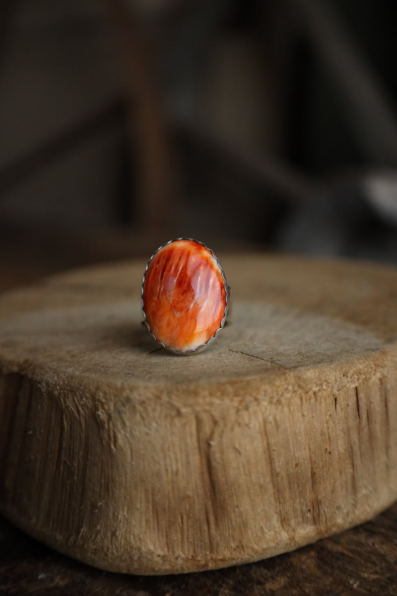 RICHARD SCHMIDT SPINY OYSTER OVAL RING- SIZE 8