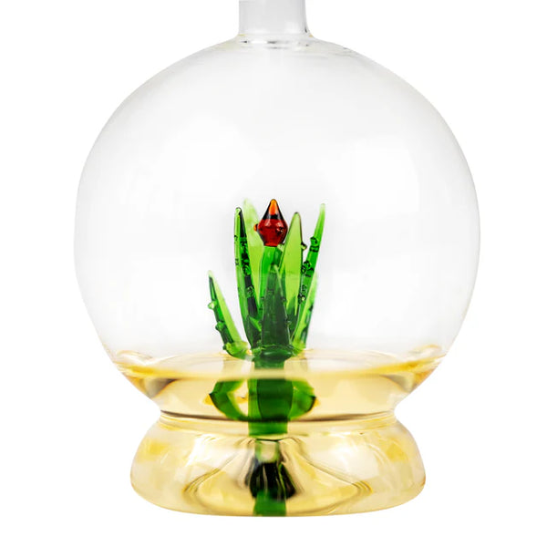 KHEN GLASSWARE TEQUILA ALOE DECANTER WITH 4 SHOT GLASSES