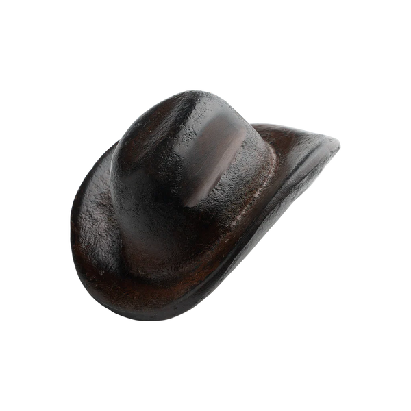 Dark brown cowboy hat on a white background
