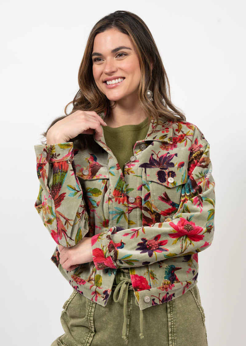 Ivy Jane Bird Print Velveteen Jacket