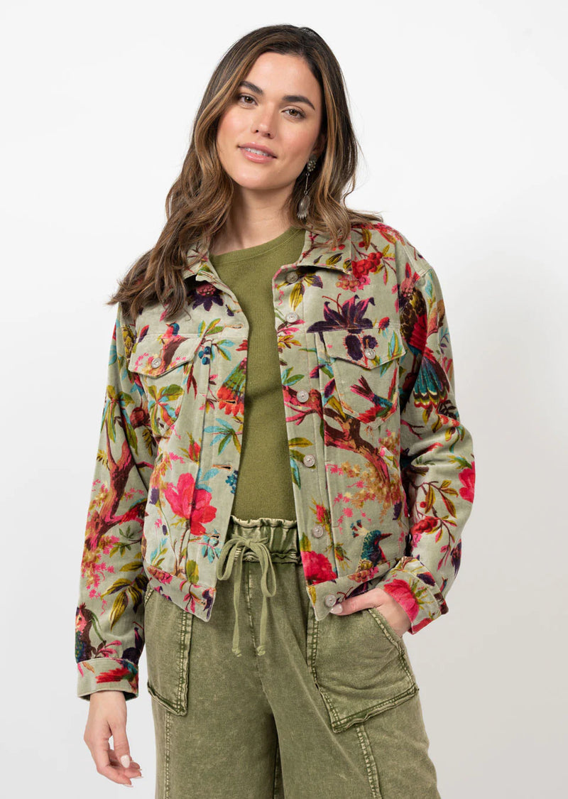 Ivy Jane Bird Print Velveteen Jacket