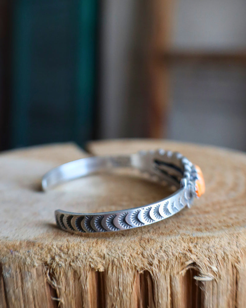 Spiny Oyster 7 Graduated Cuff