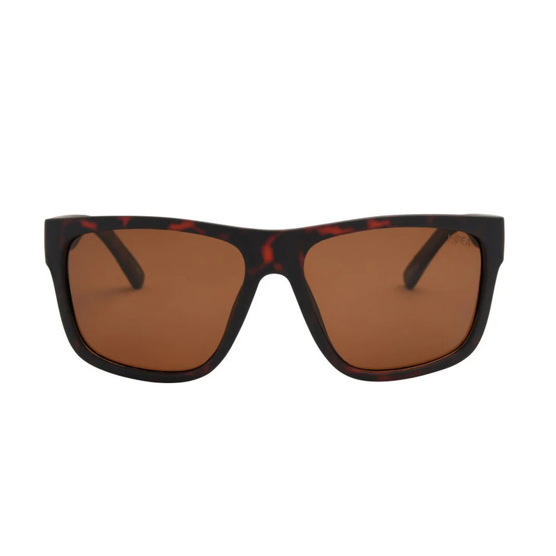 I SEA- Dalton TORT / BROWN POLARIZED LENS