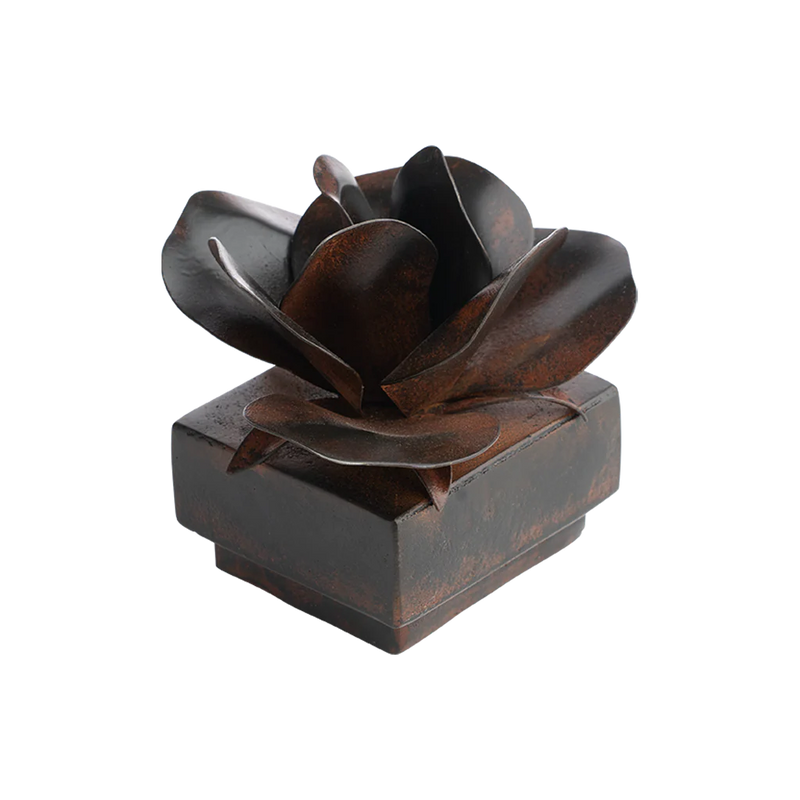 JAN BARBOGLIO ROSA SQUARE WITH ROSE BOX