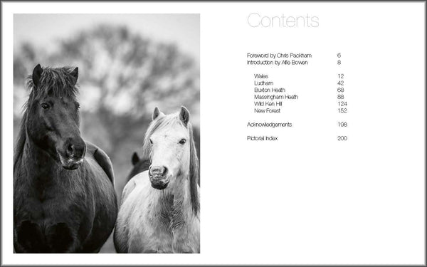 WILD HORSES BOOK