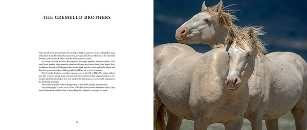 Wild Horses Of The West Book 