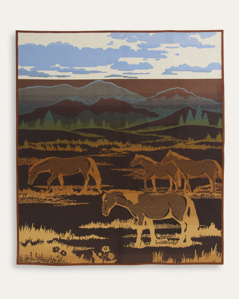 PENDLETON SHADOW MOUNTAIN BLANKET – Maverick Fine Western Wear