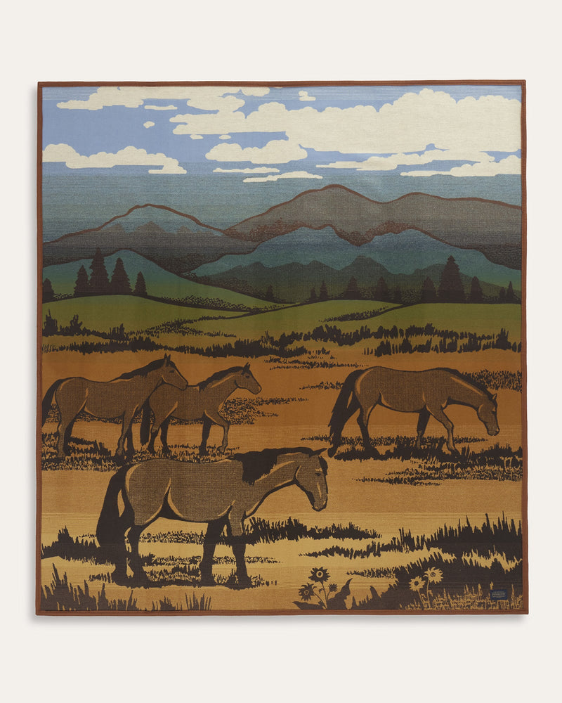 PENDLETON SHADOW MOUNTAIN BLANKET – Maverick Fine Western Wear