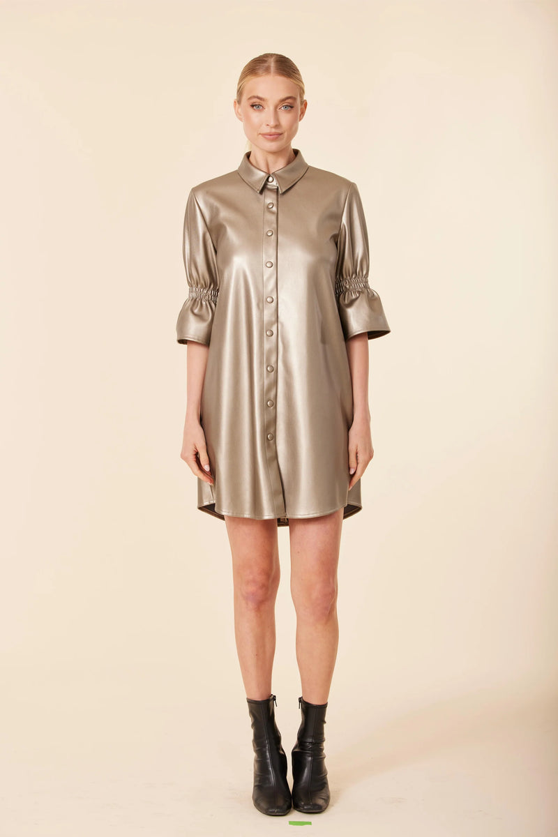 Dolce Cabo Faux Leather Metallic Ruffle Sleeve Dress