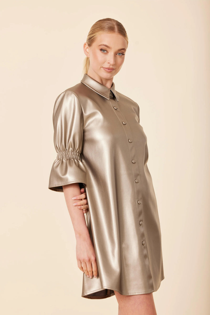 Dolce Cabo Faux Leather Metallic Ruffle Sleeve Dress