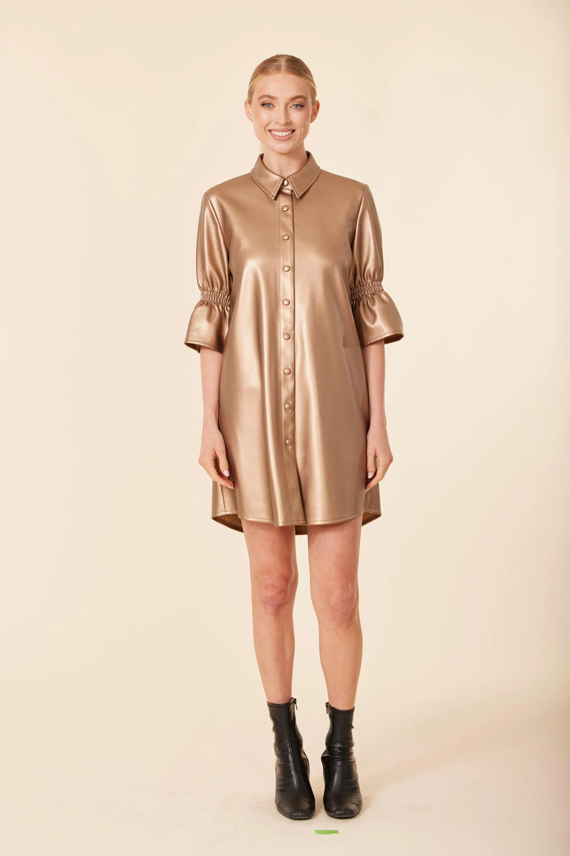 Dolce Cabo Faux Leather Metallic Ruffle Sleeve Dress