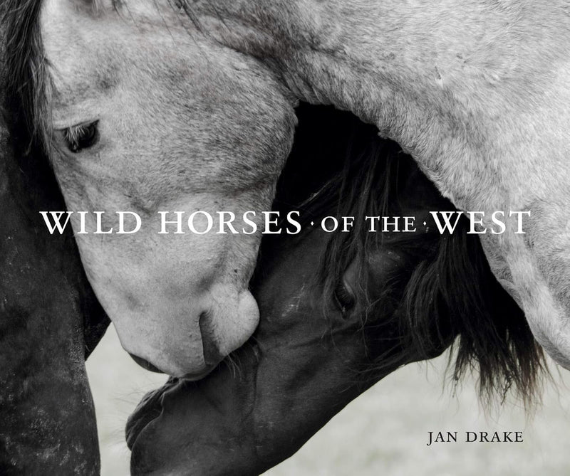 Wild Horses Of The West Book 