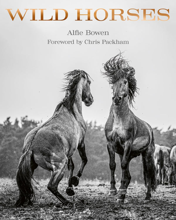 WILD HORSES BOOK