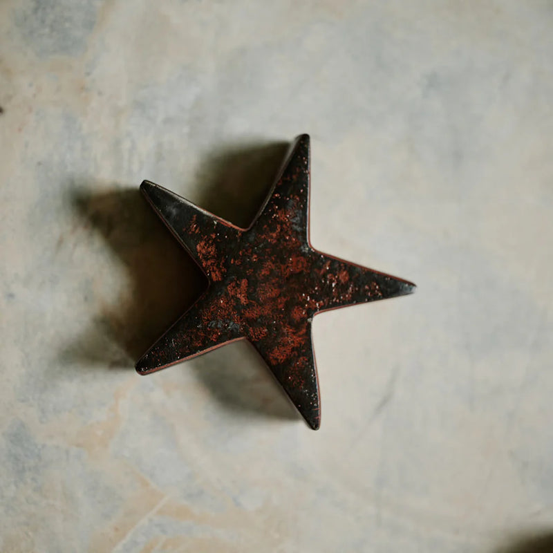 JAN BARBOGLIO ESTRELLA STAR PAPERWEIGHT 