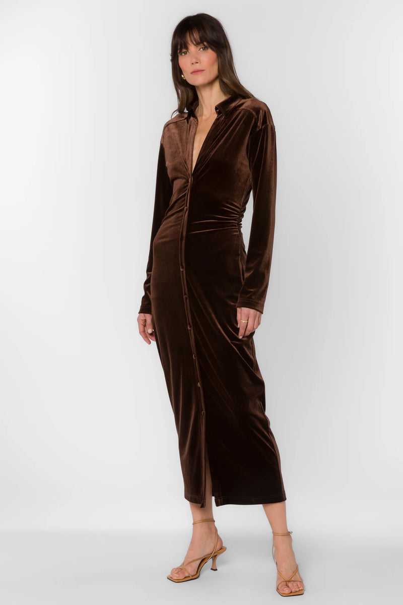 Velvet Heart Phoenix Velvet Brown Dress