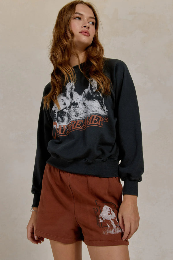 DAYDREAMER HORSE SHORT