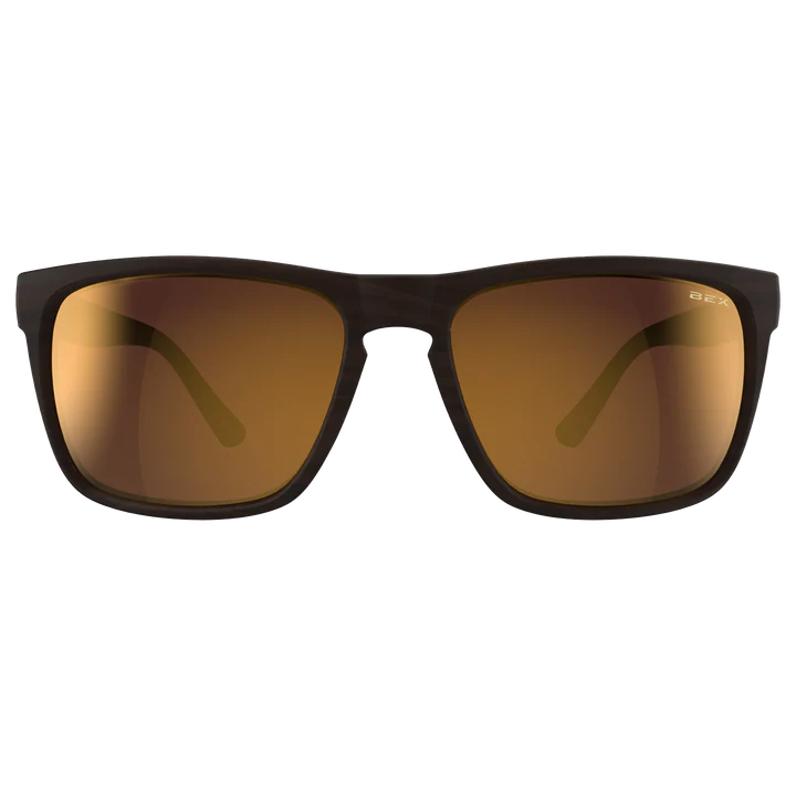 Tortoise, Brown and Gold sunglasses