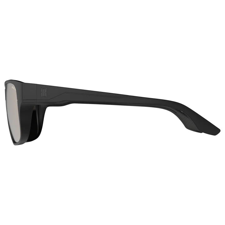 BLACK, BROWN AND SILVER SUNGLASSES