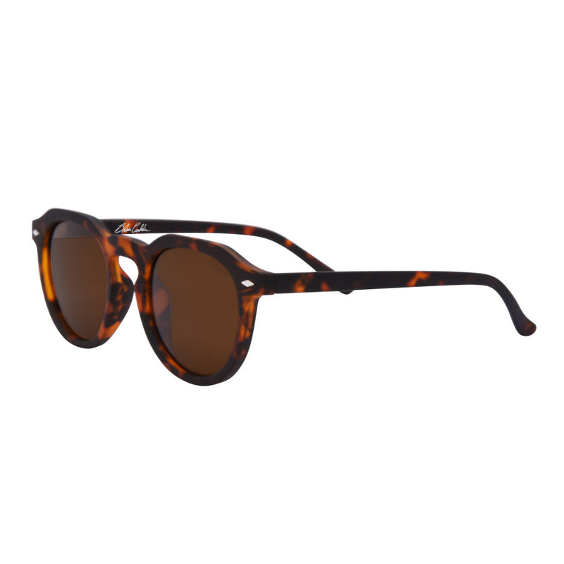 I-SEA BLAIR TORT / BROWN POLARIZED LENS SUNGLASSES 