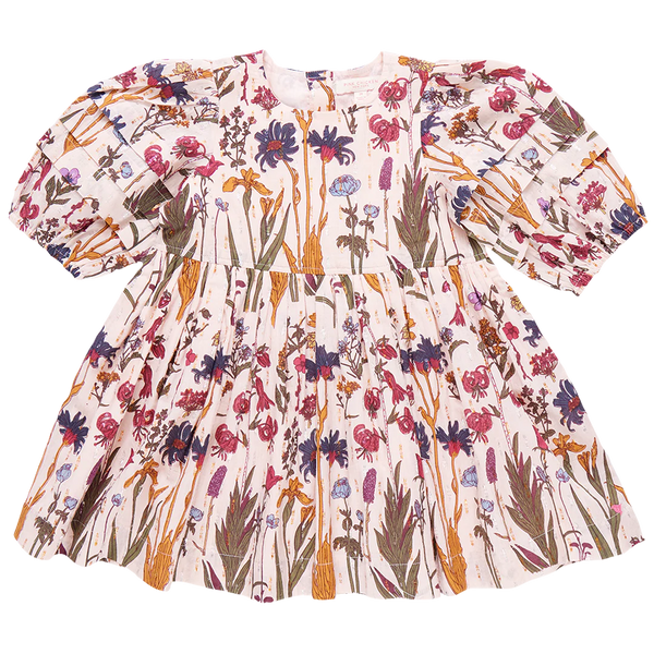 PINK CHICKEN Girls Brooke Dress - Autumn Flowers