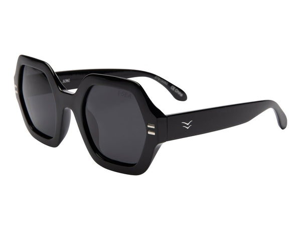 Black frame with smoke lens sunglasses