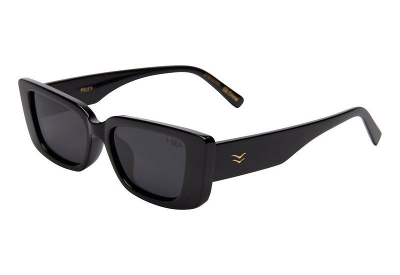 BLACK FRAME WITH SMOKE LENSE SUNGLASSES