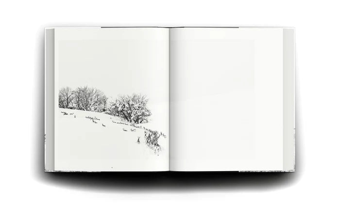Black and white ranchland book